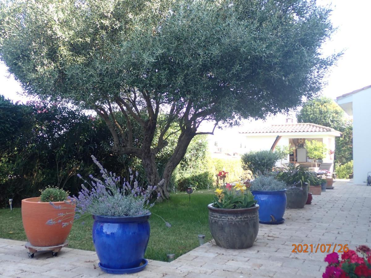 Les Fruitiers Agde Exterior foto